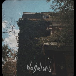 Wasteland