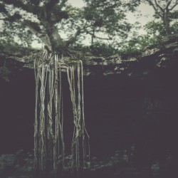 Tears on Deaf Eyes