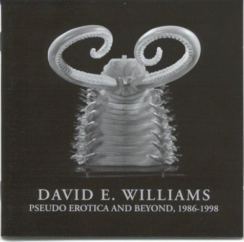 Pseudo Erotica and Beyond, 1986 - 1998