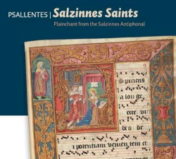 Salzinnes saints