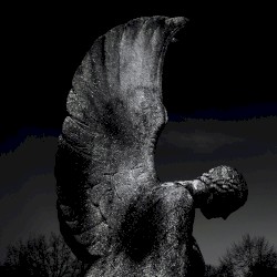 Ashes