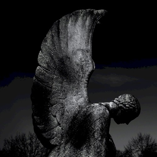 Ashes