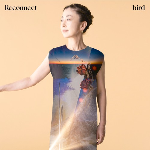 Reconnect