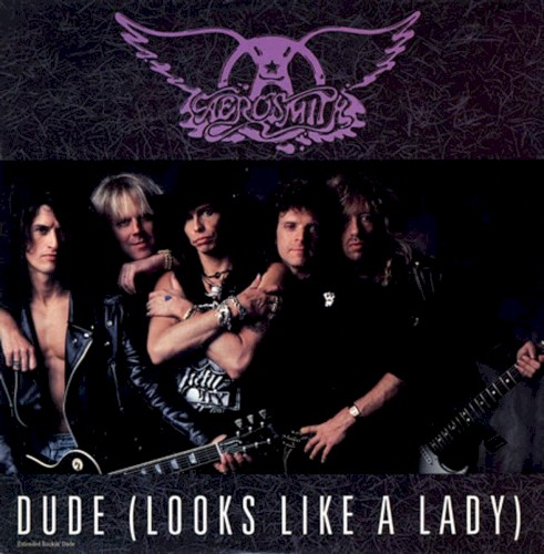 Dude (Looks Like a Lady)