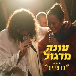 כנפיים