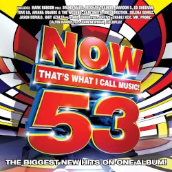 Now That’s What I Call Music! 53