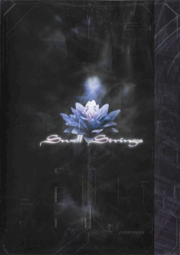 Swell Strings