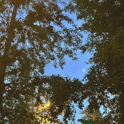 transitions