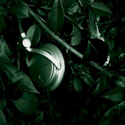 Headphone Silence