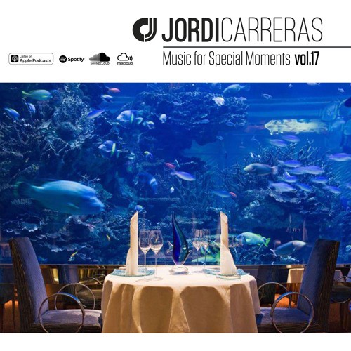 Music For Special Moments | Vol.17