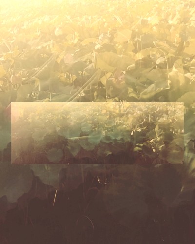 Refract
