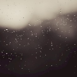 Ambient Rain Sounds (Sample Pack)
