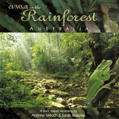 A Walk in the Rainforest (Australia)