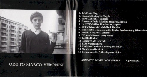 Ode to Marco Veronesi
