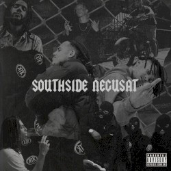 Southside Negusat