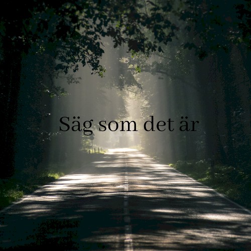 Säg som det är