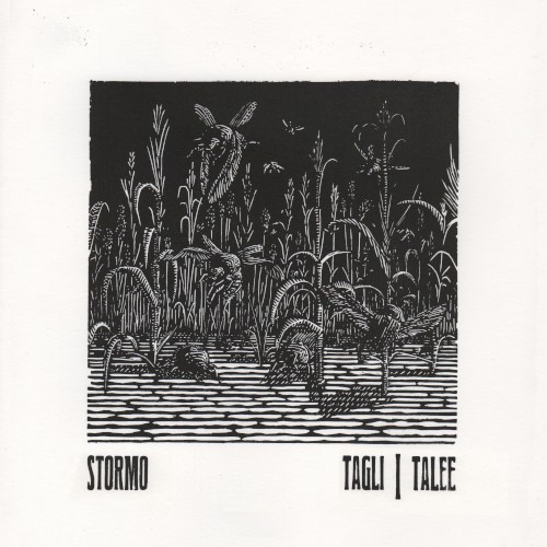 Tagli / Talee