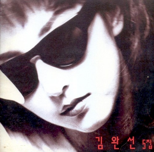 김완선 5집