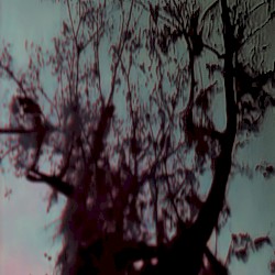 Dunkelheit (B*rzum cover)