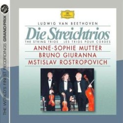 Die Streichtrios