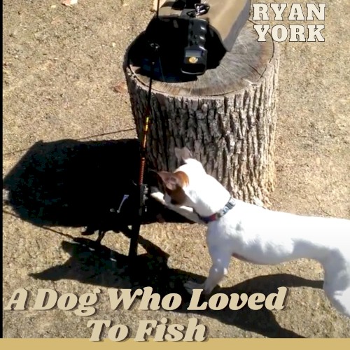 A Dog Who Loved to Fish