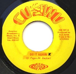 Do It Again / She's a Junkie (Who's the Blame)