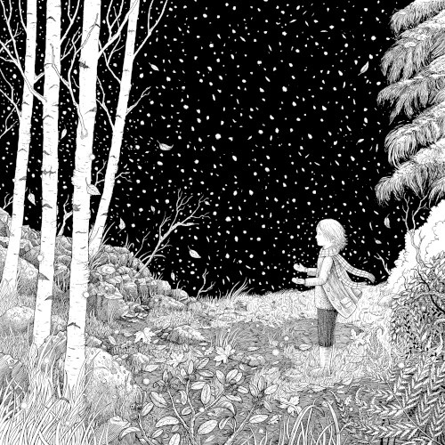 The First Snow