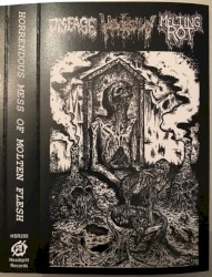 Horrendous Mess of Molten Flesh