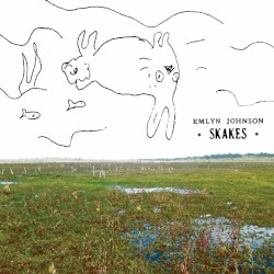 Skakes