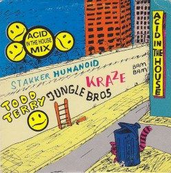 Acid in the House Mix, Volume 1