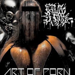 Art of Porn