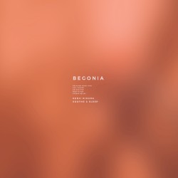 Begonia