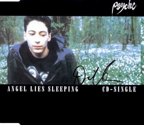 Angel Lies Sleeping