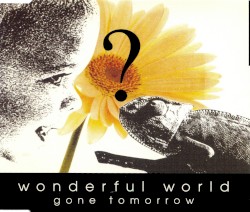 Wonderful World