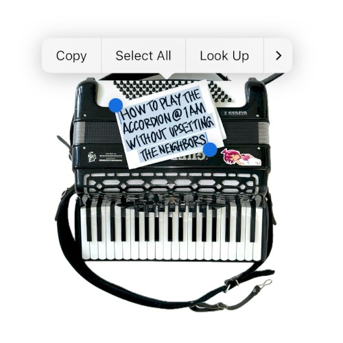 HOW TO PLAY THE ACCORDION @1AM WITHOUT UPSETTING THE NEIGHBORS