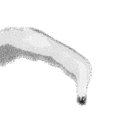 火のこ