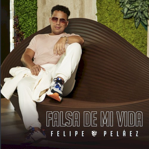 Falsa de mi vida