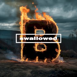 Swallowed