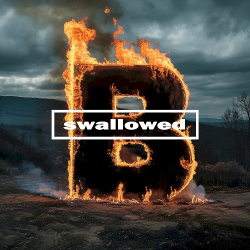 Swallowed