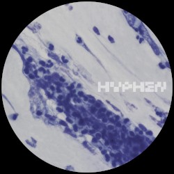 Hydrate EP