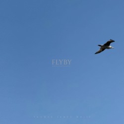 Flyby