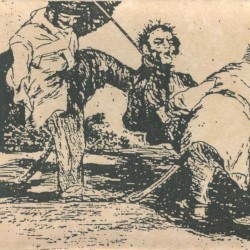 Log The Man Dead