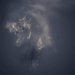 code01 oort