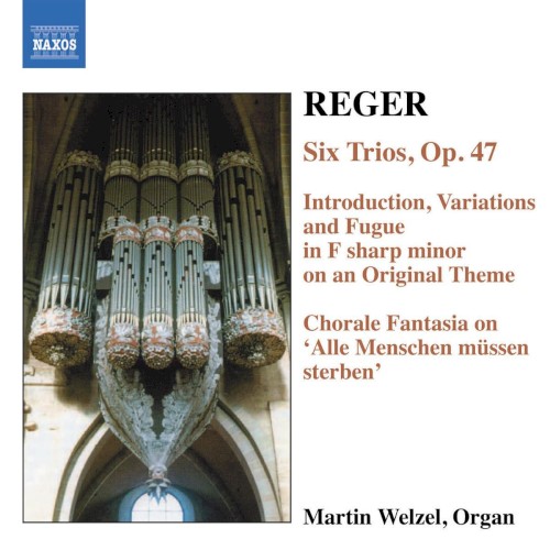 Organ Works, Volume 6