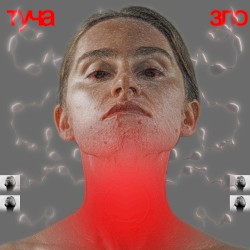 ЗЛО