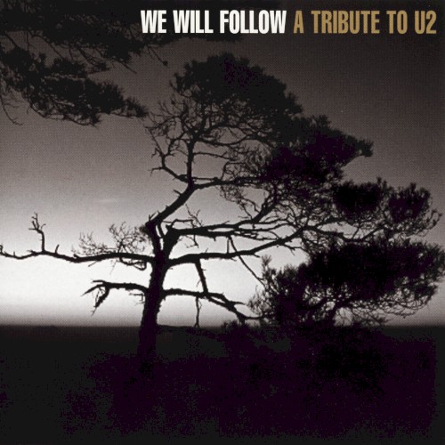 We Will Follow: A Tribute to U2