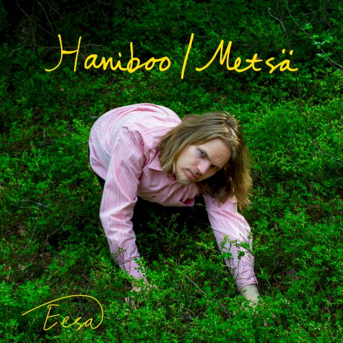 Haniboo & Metsä