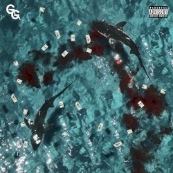 Don’t Feed The Sharks