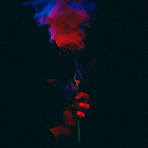 Night Sweats (edit) / SPF