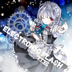 ELECTRONIC FLASH